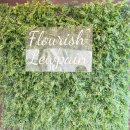 씨유안중현화중앙점 | [평택] 안중 빵집 그냥 지나치지 마세요｜플로리쉬 루팡 후기 (+주차 꿀팁)