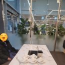 샤브향 다산