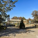 한국장애자예술봉사단 | 🌏 키르기스스탄으로 떠난 KOICA 프로젝트 봉사단 3기 단원들 ✈️