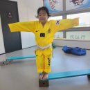 용인대대성태권도장 이미지