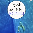 부산프리다이빙 다이브포유 자격증 취득 후기