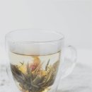 전통한의원 이미지