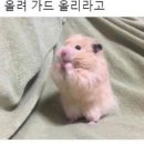 인성