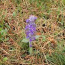 동우행정사합동사무소 이미지