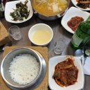 홍당구장 | 울릉도 저동 현지인 맛집 | 대통식당 | 3일 연속 방문한 내돈내산 솔직후기