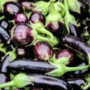 서윤농장 이미지