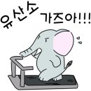 양재체육관 이미지