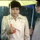 우산 & 생활팁 이미지