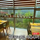 메디포트 | 출산일기] 에덴메디 산후조리원 특실 13박14일 이용후기 (제왕절개 산모, 모자동실, 뷔페식 식사, 모유...