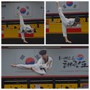 베스트 태권도 이미지