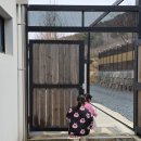 청도타임리스풀빌라 | 경북 청도 감성숙소 청도타임리스 풀빌라펜션 아이랑