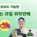 팜피디