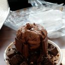 콩꼬물