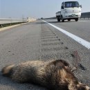 중부-현장-중부-736 이미지