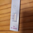 하계한성슈퍼 | 일요일 크리스마스에 365병원에서 코로나19 신속항원검사 양성 나온 후기