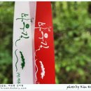 평창들꽃 이미지