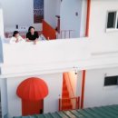 뿌리민박 이미지