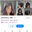 백연미용실