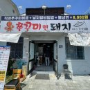 쭈꾸미면돼지 이미지