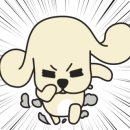 모모동물병원 이미지