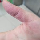 이상한 주부생활 네이버블로그