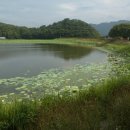 모량2리 | 김대성의 전생 마을 - 경주 운대리 부운촌