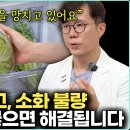 좋은 줄 알았던 '그 음식'이 범인입니다. 배에 가스참, 소화불량 해결하려면 식단을 이렇게 바꿔보세요 | GAPS, MAC, 포드맵 이미지