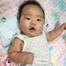 일곱번째 고양이 펜션 이미지