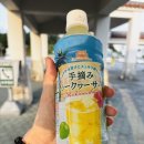 여행의 구세주! 얀바루 888 버스로 아기랑 북부 정복한 후기 (츄라이미 수족관, 마하이나 웰니스 리조트)
