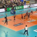 핑크 스파이더 | [배구직관] 정관장레드스파크스 vs 흥국생명핑크스파이더