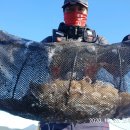 나라3호 이미지