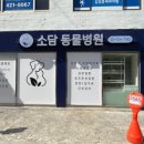 소담동물병원 이미지
