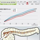 '췌장암' 최악의 암인 이유 이미지