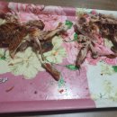 생초통닭
