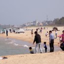 (주)동해정화
