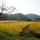 모꼬지마을 이미지