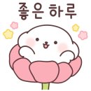 안산안경숲 이미지