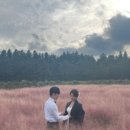 몽몽스타 이미지