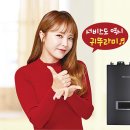 귀뚜라미 서비스 이미지