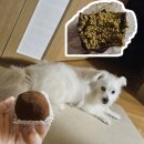 (주)디비앤에프지 | 일상 12월-2 거리두기