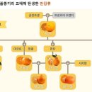 선물상회 - 나주시 불로길 7 | 선물상회