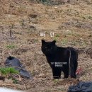 또오랑 | 제주도 퇴사여행 Day 3 | 대정, 안덕 | 또오랑, 핀스, 산방산 유채꽃, 금오름, 하이숙성