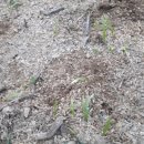 분천농장 이미지