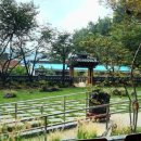 거산 이가네더덕밥 이미지