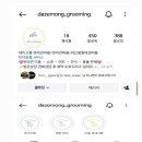 데이즈몽 애견미용샵 이미지