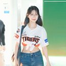 백지헌 카카오 검색결과