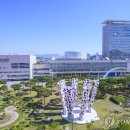 강화경기장 연습경기장 이미지