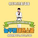 늘푸른태권스쿨 이미지