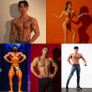 바디트랜스짐 정왕점 헬스 PT 이미지