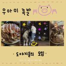 우아미족